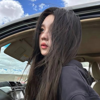 少数意见